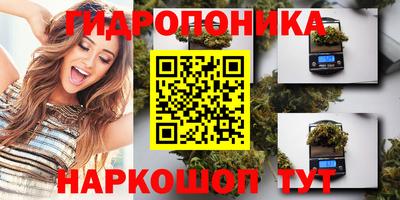 ALPHA PVP Вышний Волочёк