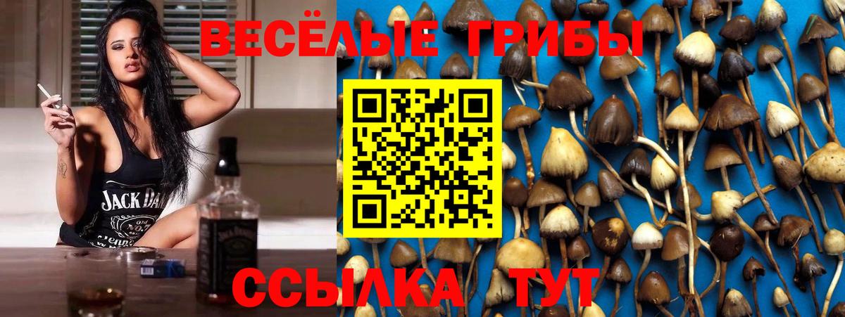 Когалым  Галлюциногенные грибы мицелий  Псилоцибиновые грибы Psilocybine cubensis  Вход с VPN 